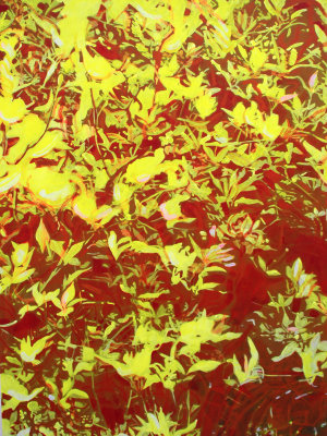 Foliage painting - Autumn colours