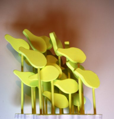Shoal 1
