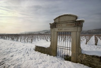 Burgundy - Latricires-Chambertin