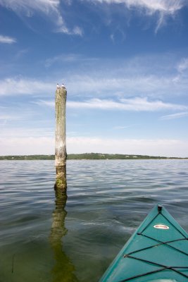MV - Menemsha-Pond