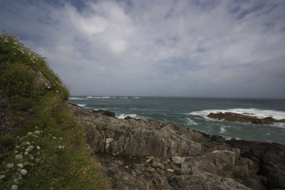 UK-Cornwall Coast Path1C.jpg
