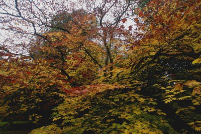 westonbirt