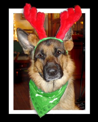 HUNTER- Christmas 2006