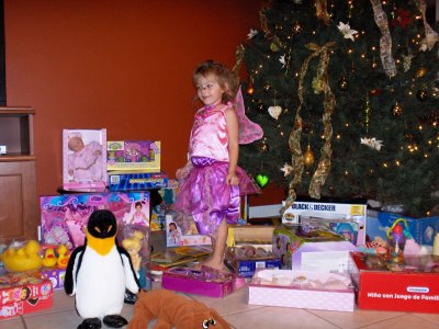 Fairy Princess and her presents