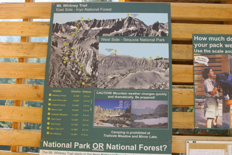 IMG_9115.jpg