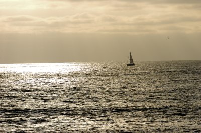 ob_surf
