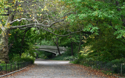 Upper Side 031.jpg