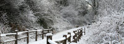 snow 005-1.jpg
