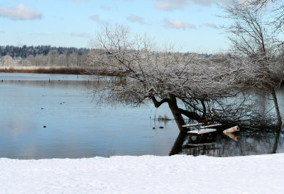 snow 008.jpg