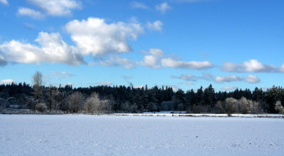 snow 017.jpg