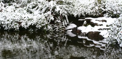 snow 031.jpg