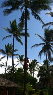 Polynesian Cluture Center 1.jpg