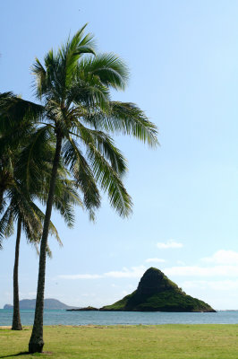 Chinaman hat 1.jpg