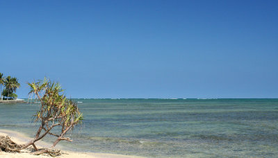 north shore.jpg