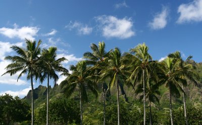 North Shore 013.jpg