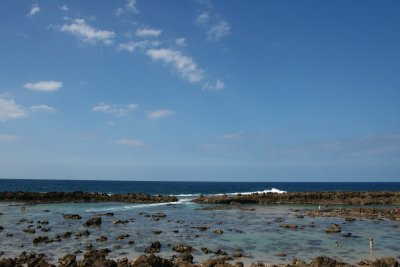 sharks cove 1.jpg