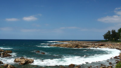 Sharks cove 2.jpg