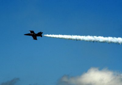 Blue Angels 21.jpg