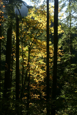 sunlight.jpg