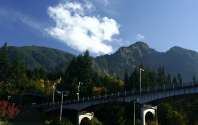 Fall color.jpg