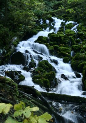 Wahkeena Creek.jpg