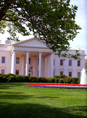 Washington_The White House 3.jpg