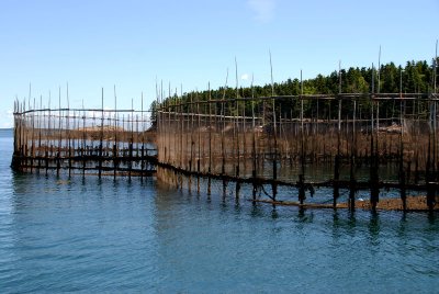 Bay of Fundy_Fishing Weir_2007 .jpg
