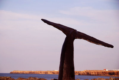 Whale Ride View.jpg