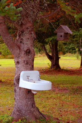 Bird Baths.jpg