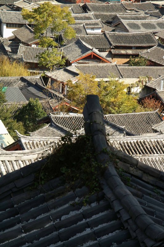 Lijiang from Above