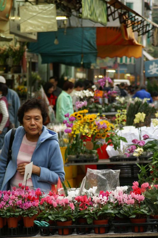 Flower Shopping