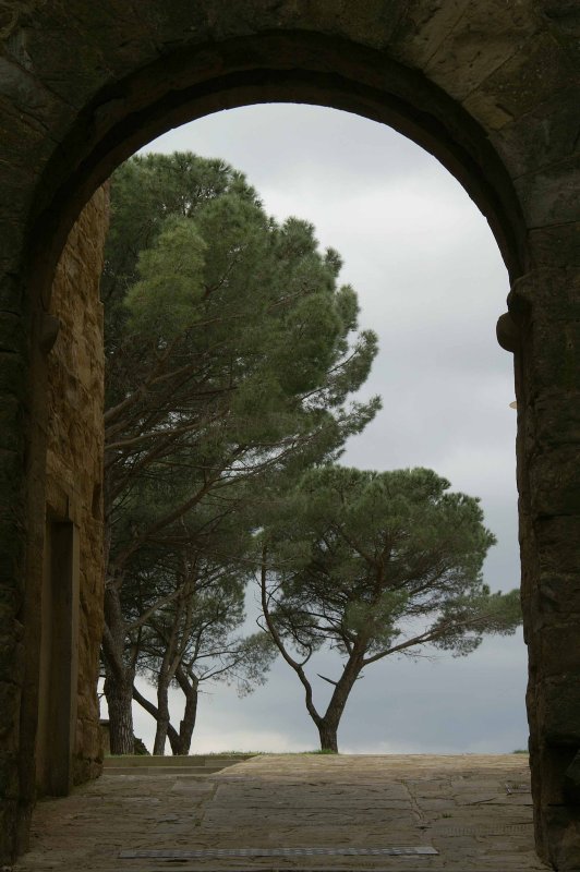 38 Castiglion Fiorentino