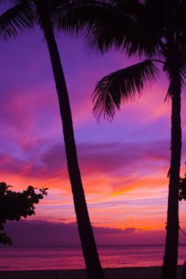 Maui Hawaii Sunset - VOTE TODAY
