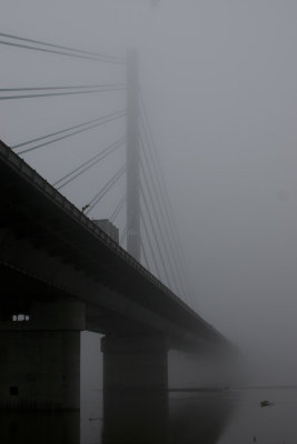 2543.jpg