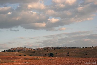 0345.jpg