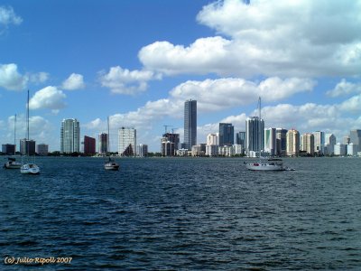 Miami Skyline