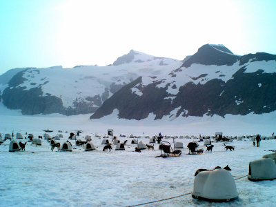 g6/22/741922/3/73556512.qL52whNr.jpg