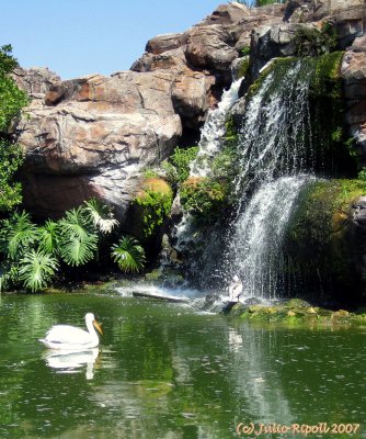 Zoo Waterfall