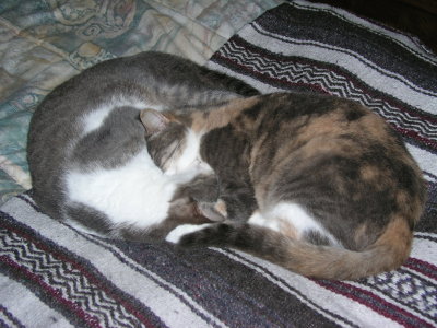 Squeaky & Buddy in S hug.
