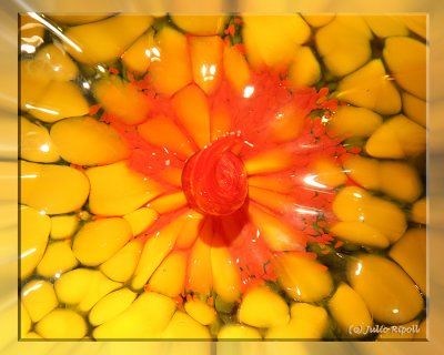 Chihuly Art - Red  & Yellow Vase (Center Close-up)