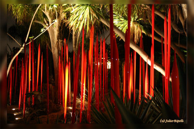 Chihuly Art - Red  & Amber Reed Forest