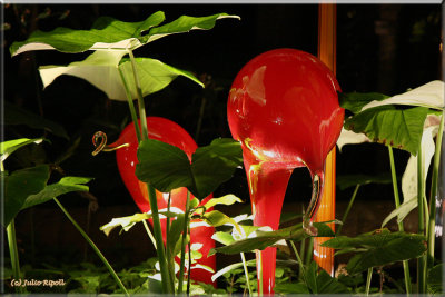Chihuly Art - Glass Garden in Rainforest