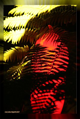 Chihuly Art - Glass Garden in Rainforest 2