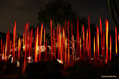 Chihuly Art - Red  Amber Reeds Forest