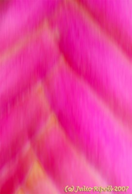 Photographic Abstract Art