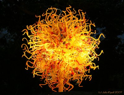 Fairchild Photo Contest 2007