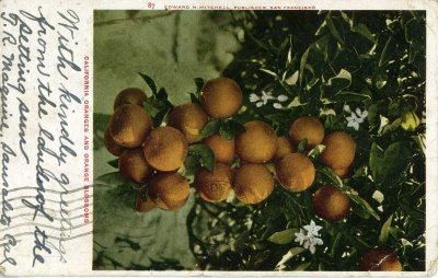Grandma Parsons' Postcards
