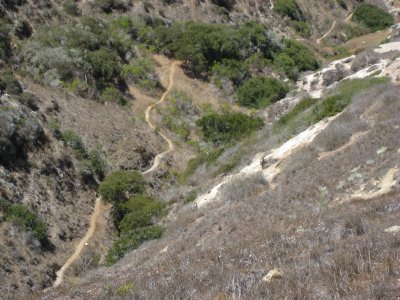 view of trail.JPG