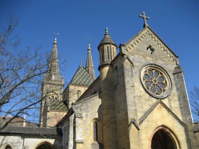 La magnifique glise collgiale