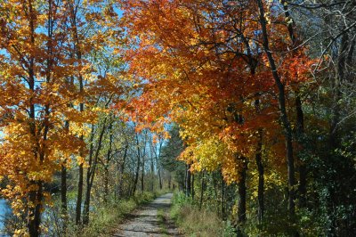 Autumn Trail